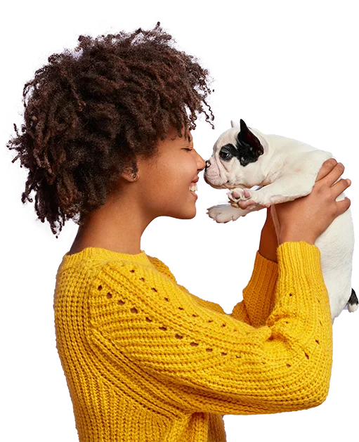 Hotel para cães com área verde e recreação em Itapecerica da Serra – Img Footer