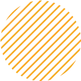 Hotel para cães com área verde e recreação em Itapecerica da Serra –Obj 3