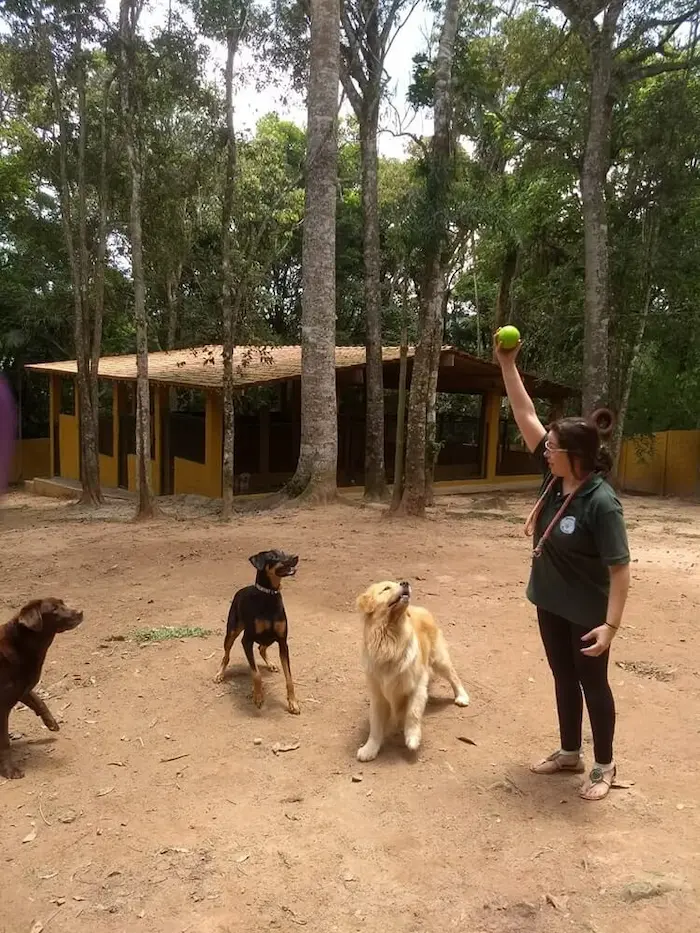 Mundo-Pet-Resort-1-1920w